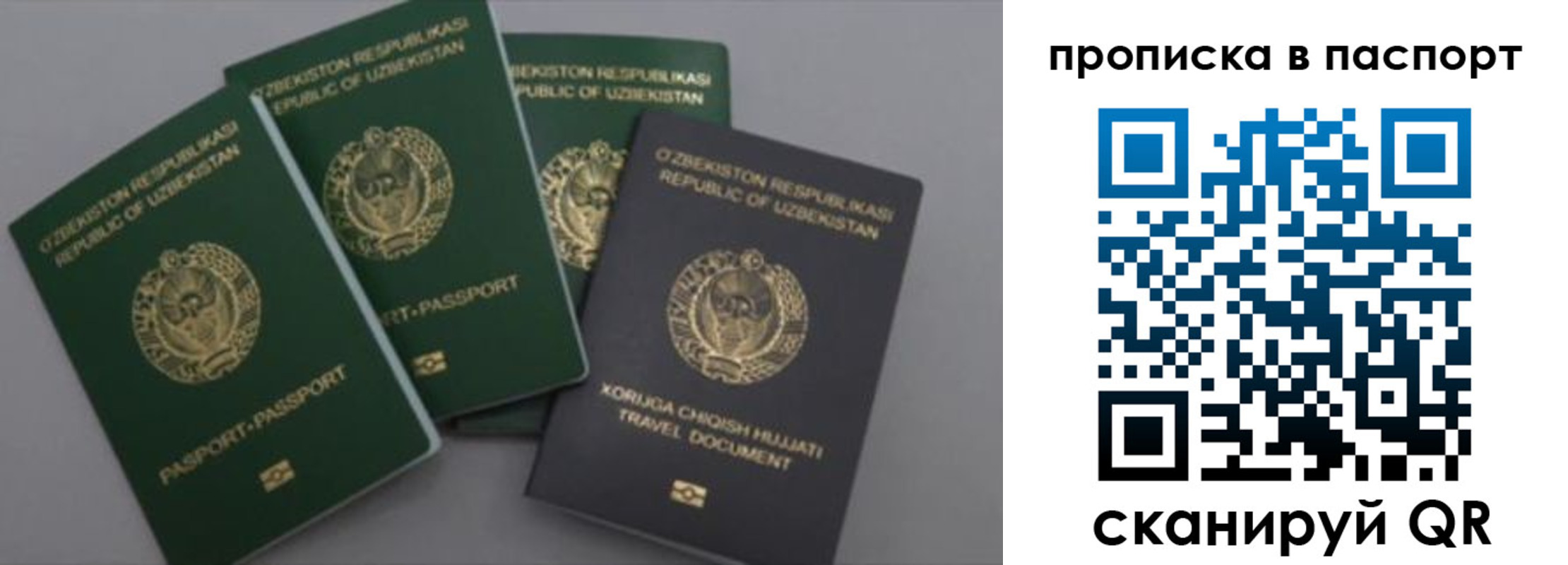 временная прописка в Обояни